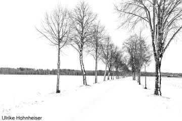 Ulrike_Hohnheiser_Wintertag