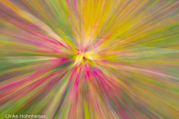 Ulrike_Hohnheiser_Wucht_der_Farben