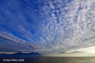 alex_pelka_2602_chiemsee01