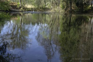 andreas_seidl_Spiegelweiher_04-2025